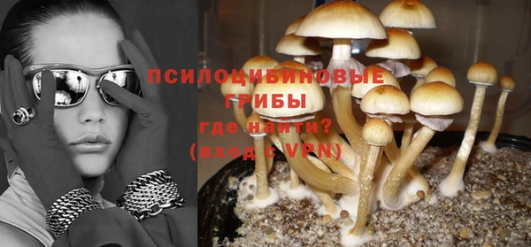 гидра Иннополис